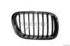 TRUCKTEC AUTOMOTIVE 08.62.253 Radiator Grille